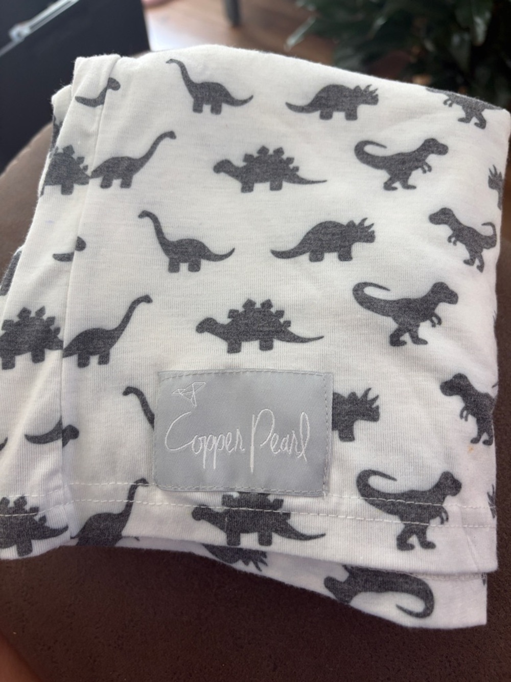 Copper Pearl White & Gray Dino Print Kids One-Piece